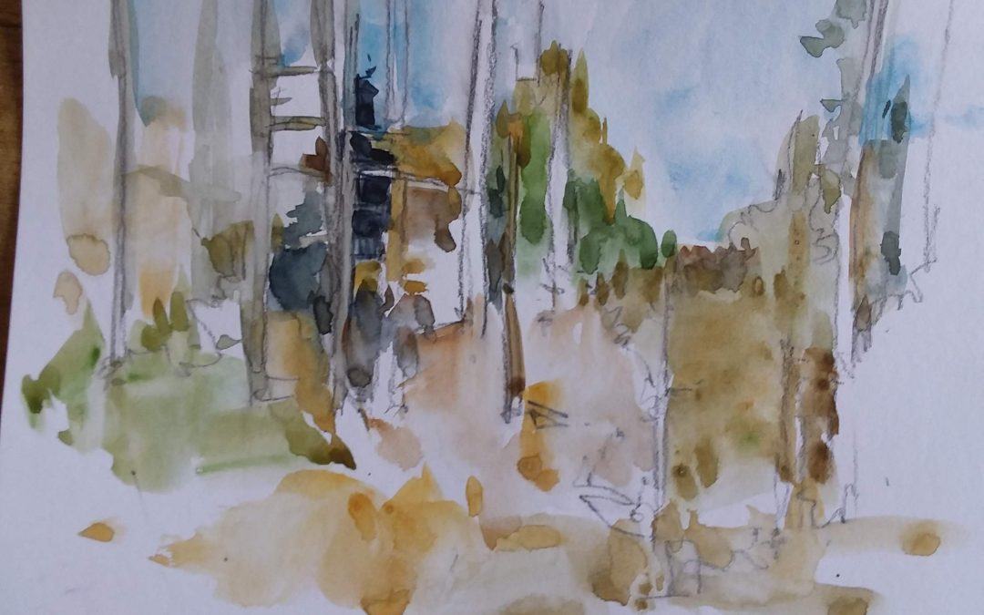 B pencil and watercolor