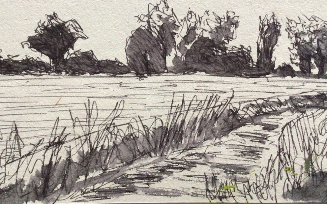 I don’t usually sketch when i’m painting, i usually go straight into the painting, so this made a change. Here is a tonal sketch made with marker pen and water. I also did a dip pen drawing, followed by an oil painting.