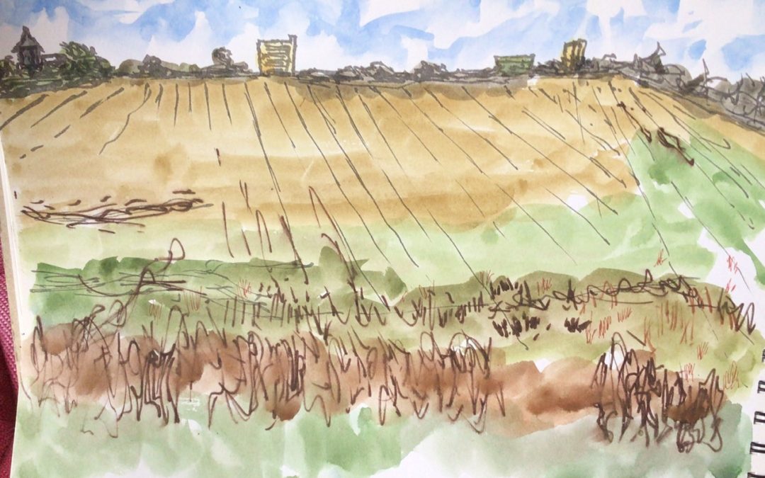 It was trying to rain so I had only about five minutes to draw in dip pen, marker pen, other pens and quick w/ c washes of this wide open field with trees and buildings beyond.