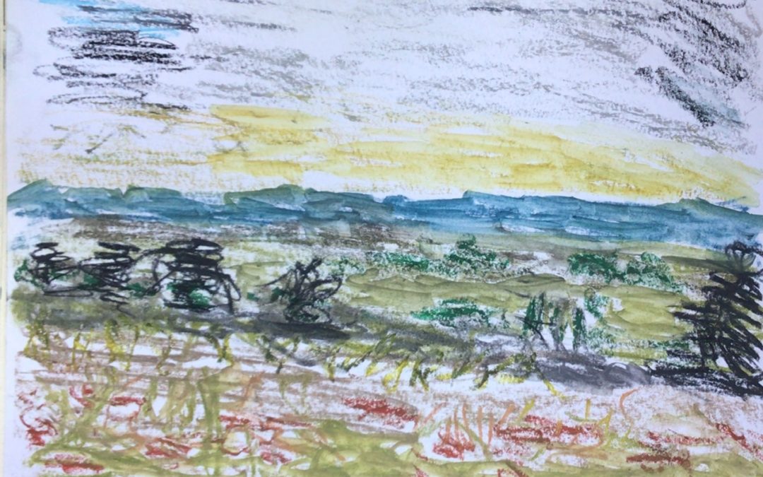 With this one, i washed the water soluable marks with water to spread it a little. I only took a few colours with me, so it was impossible to get accurate colours.