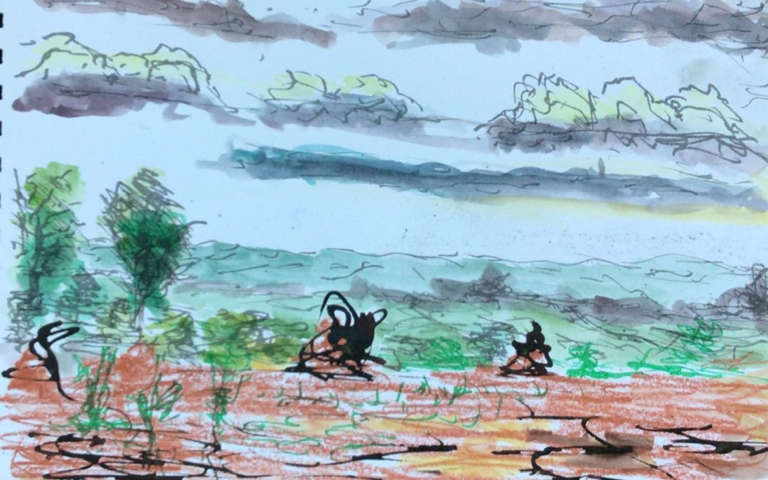 Here is another sketch of a wide open long distance view, made with ink, and oil pastel and conte crayon, I find it so difficult to get the sense of distance using these materials, whereas w/c or oils give me no trouble.