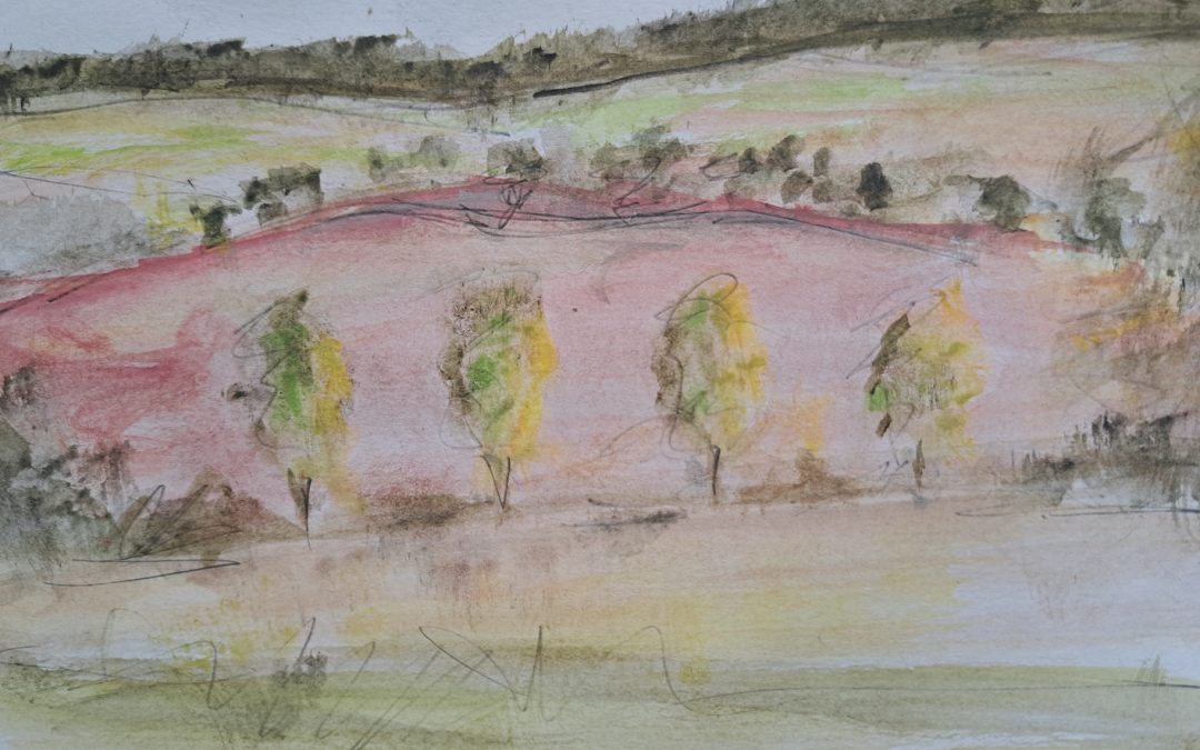 plein air sketch No2.  Sat with the same view on a very bright afternoon.
Intense blocks again