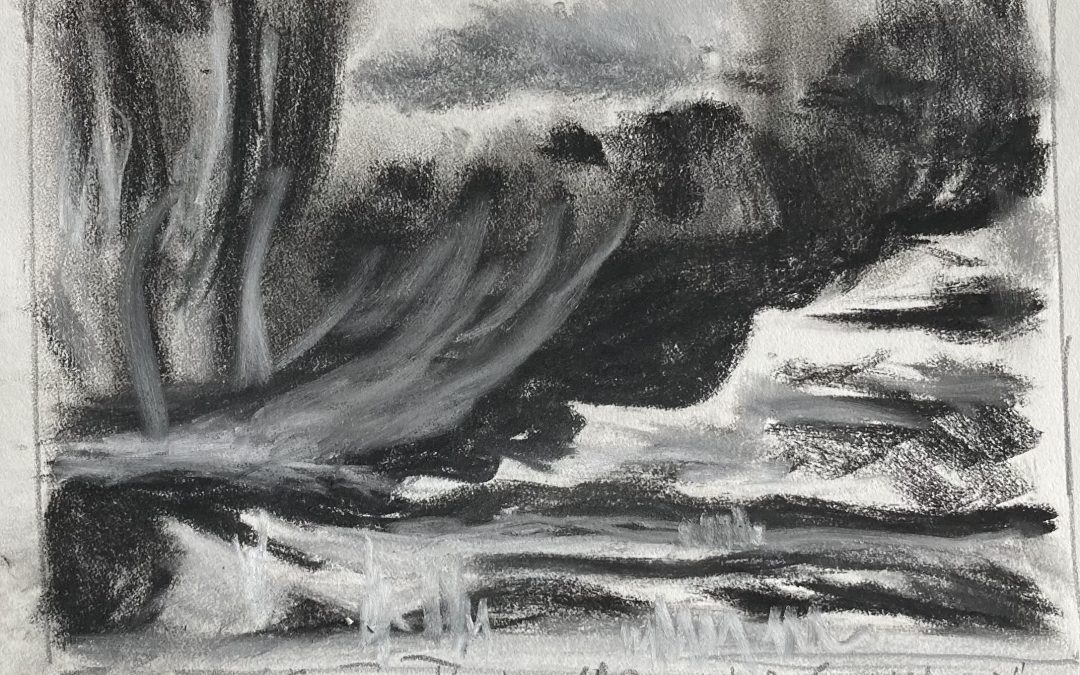 Conté crayon sketch of Tom Thomson ‘Approaching Snowstorm”. Reminded me a bit of Turner’s dramatic clouds.