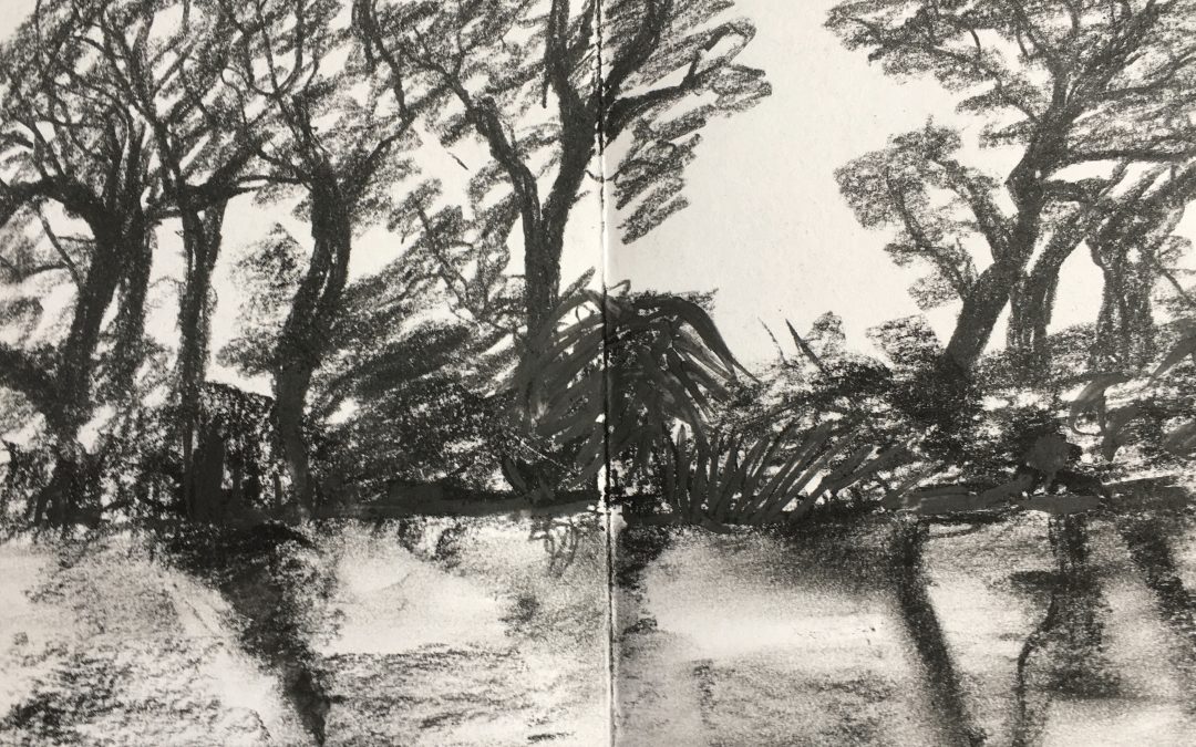 Looking across a small lake