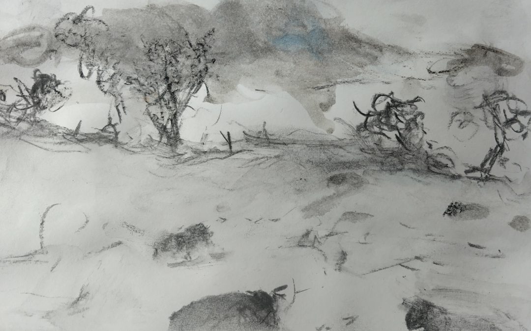 Charcoal relaxed sheep