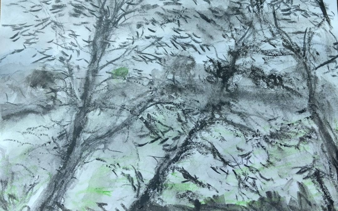 Charcoal trees blowing Inthe wind.