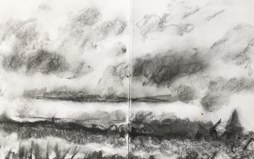 Sketched at my local country park