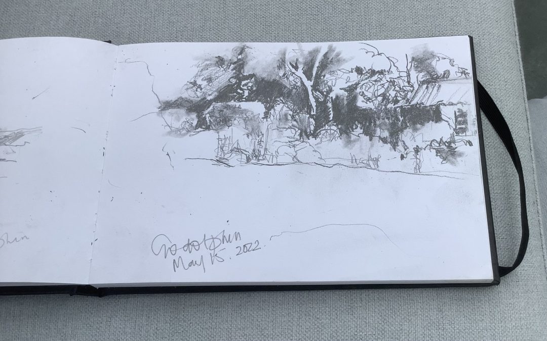 I love sketching outside with a very soft black pencil , preferably 14B   I have always loved working in black and white you get such wonderful light that way
