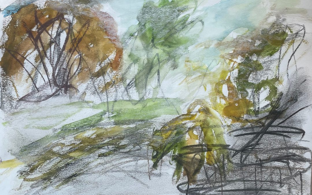 Wet Garden – pre oil painting drawing using XL Derwent Graphite, 04 Burnt Umber, 03 Raw Umber, Chalk, Charcoal, Water Colour Palette