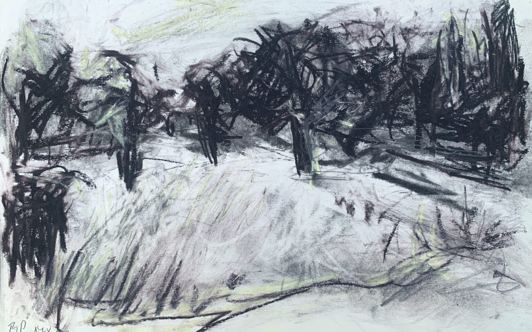 A mix of charcoal, soft pastel and oil pastel