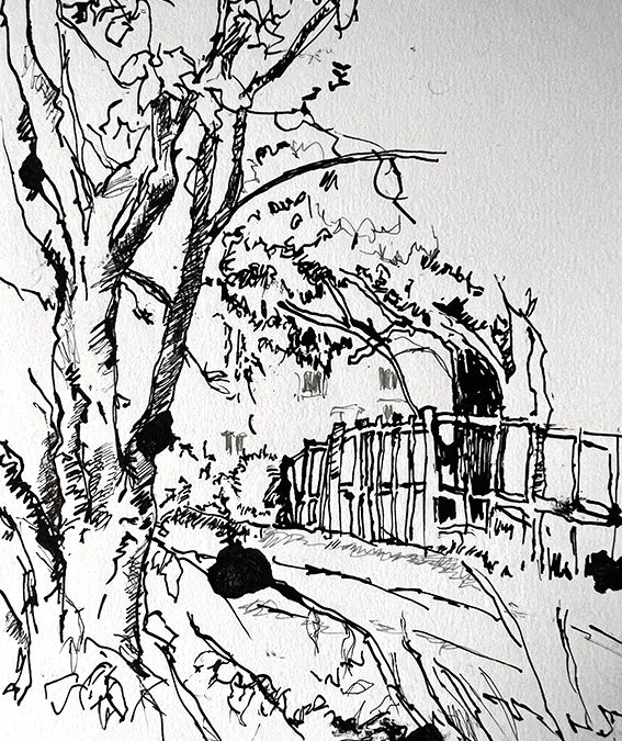 Very quick and splodgy ink sketch – Mannington Estate.