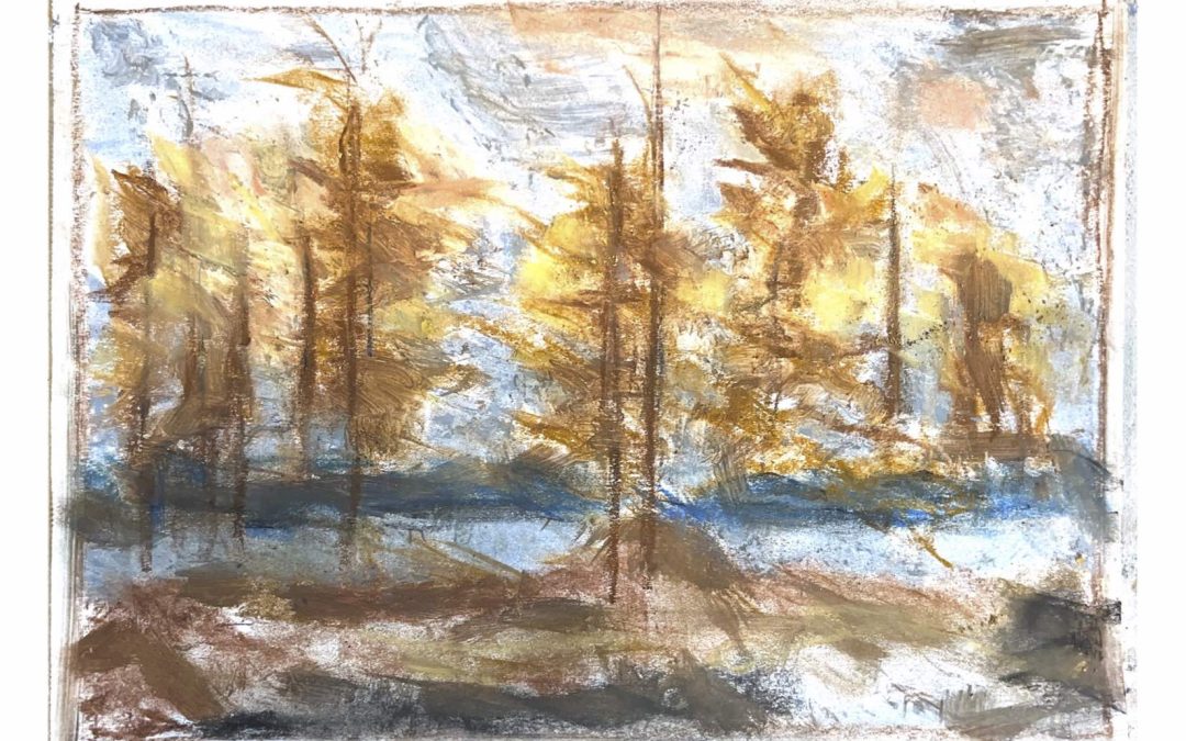 Charcoal study/Tom Tomson Tamaracks