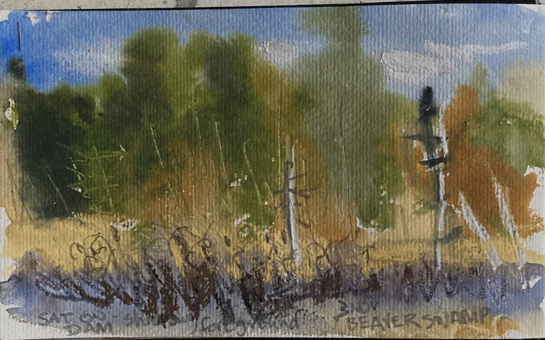 One of two:  sketch done last week at a little beaver swamp I visited