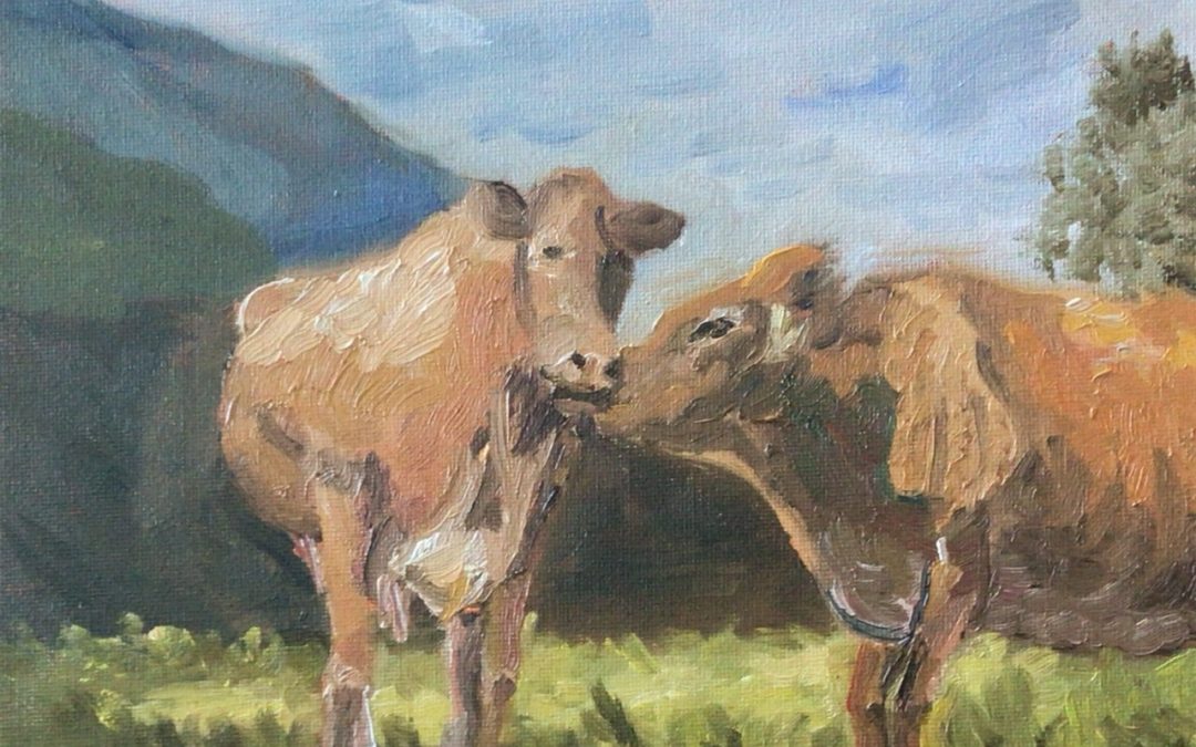 Here are some cows for you all, so you don’t have to go looking for them.
Oil size 10” x 8” I have painted a few cow studies recently, in preparation for my plein air trips in 2024. Enjoy!