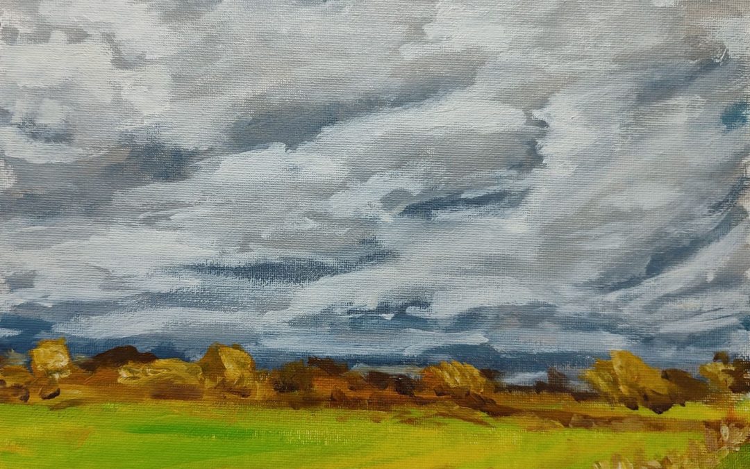 A quicker oil on paper image of nearby farmland – think I’m finally getting looser with my work!