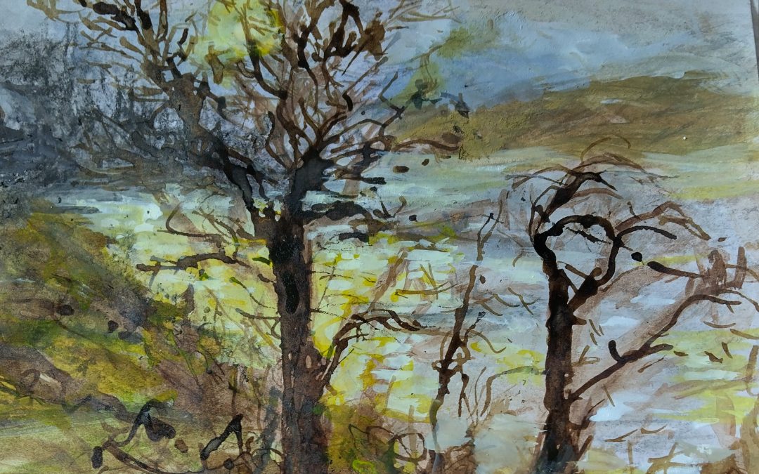 Acrylic inks and charcoal