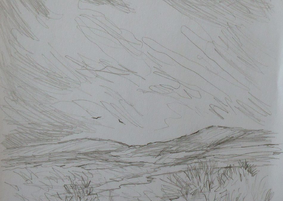 Moorland sketch in my local area.