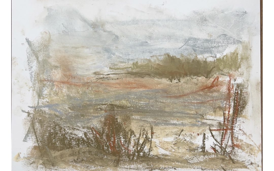 Back to heavy snow here today but a break in the weather yesterday meant I managed a quick sketch in some local marshland.  Thank you for the encouragement to sketch outdoors, regardless of the weather.   It’s very rewarding.  I’m also paying closer attention to all kinds of reflections now……..