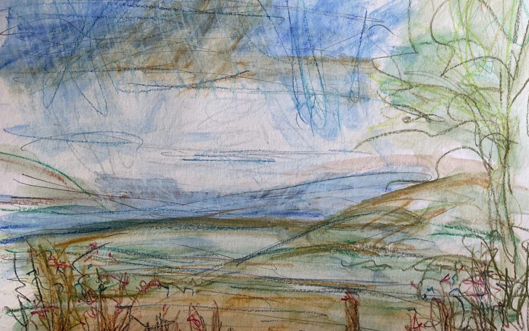 A Joan Eardley inspired sketch of my view from the kitchen garden…where I sketch a lot. This time using neopastel ll water soluble pastels, wet brush followed by dry pastel for detail. As much as I love the Sennelier pastels the thought of having to carry fixative everywhere was a bit depressing!! The neopastel was lovely to use.  And I love Joan Eardley.