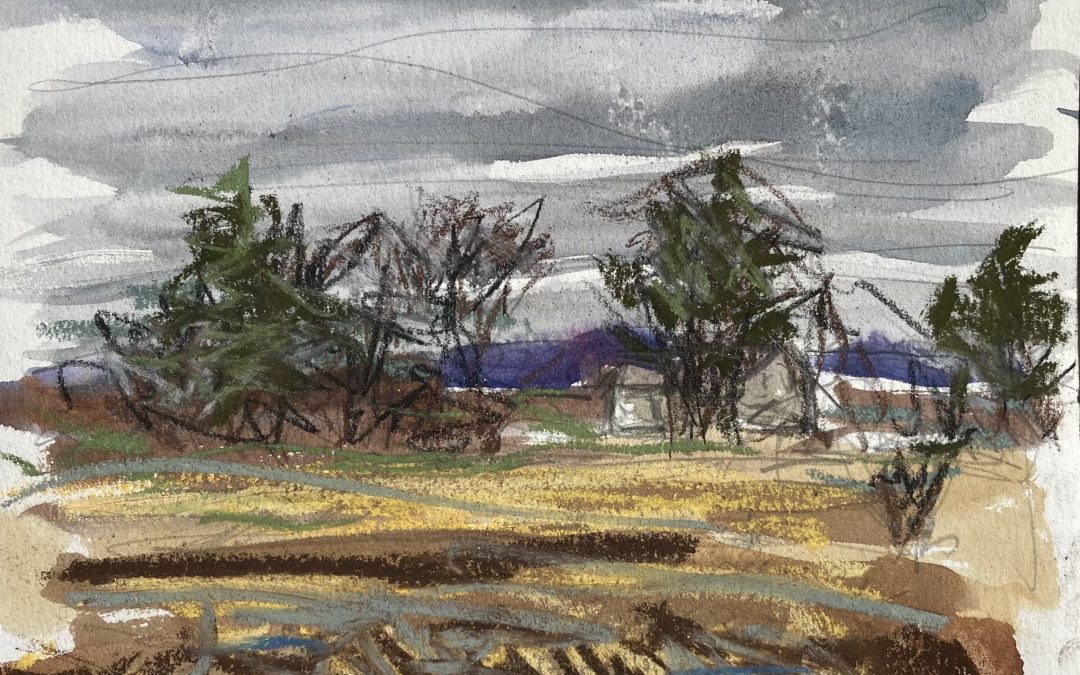 A quick sketch of field and house while I waited for the garage to put the summer tires on my car…watercolor, pastel, pencil and conte crayon.