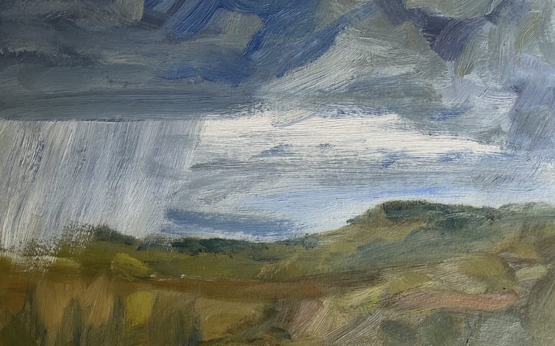 So, here it is, posted after a lot of dithering. The first attempt at oil paints – the dark rain shower over the ploughed fields. Hmmm, the mud of the fields was easy to make!! How many brushes do you need to use? I suppose one for each colour?  I didn’t mix up enough paint, I didn’t have enough brushes, there are a lot of other didn’ts & oh dears, but I really enjoyed this.