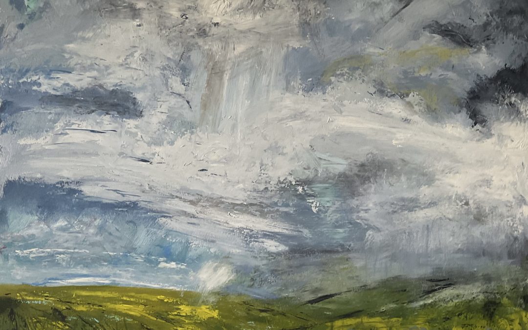 Yesterday’s stormy sky….torrents of rain, palest of pearly turquoise, sparkly sunshine, bruised clouds, white fluff, startling pools of light…..all on a drive home from local town so I had to stop & sketch. This is the painting of that moment – 64x48cm oil on thick oil paper. I’m really not sure how to begin to evaluate this one…there are moments when I think it’s quite bold , & the next I think it’s too conservative with marks & the brush.  Sometimes I think the colours are wonderful, the next I think it’s a mess!