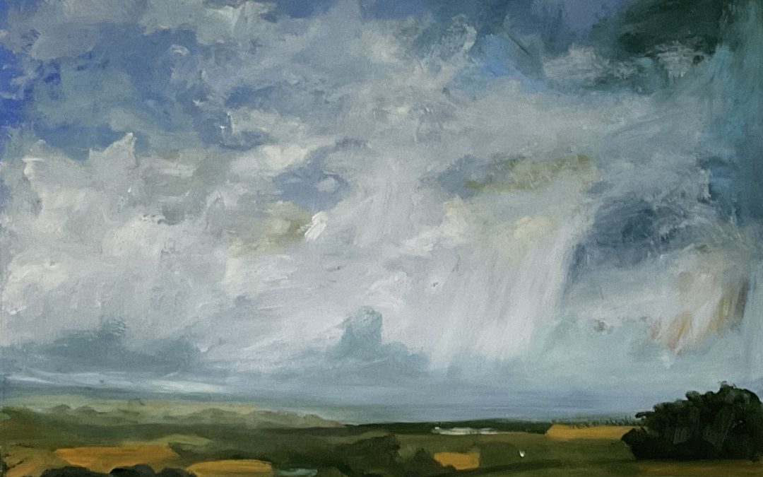 This one I tried to make the foreground feel a little less ignored – but for me it’s not really wild enough. I live in a manicured agricultural part of SW France where I try to find the wild in every view