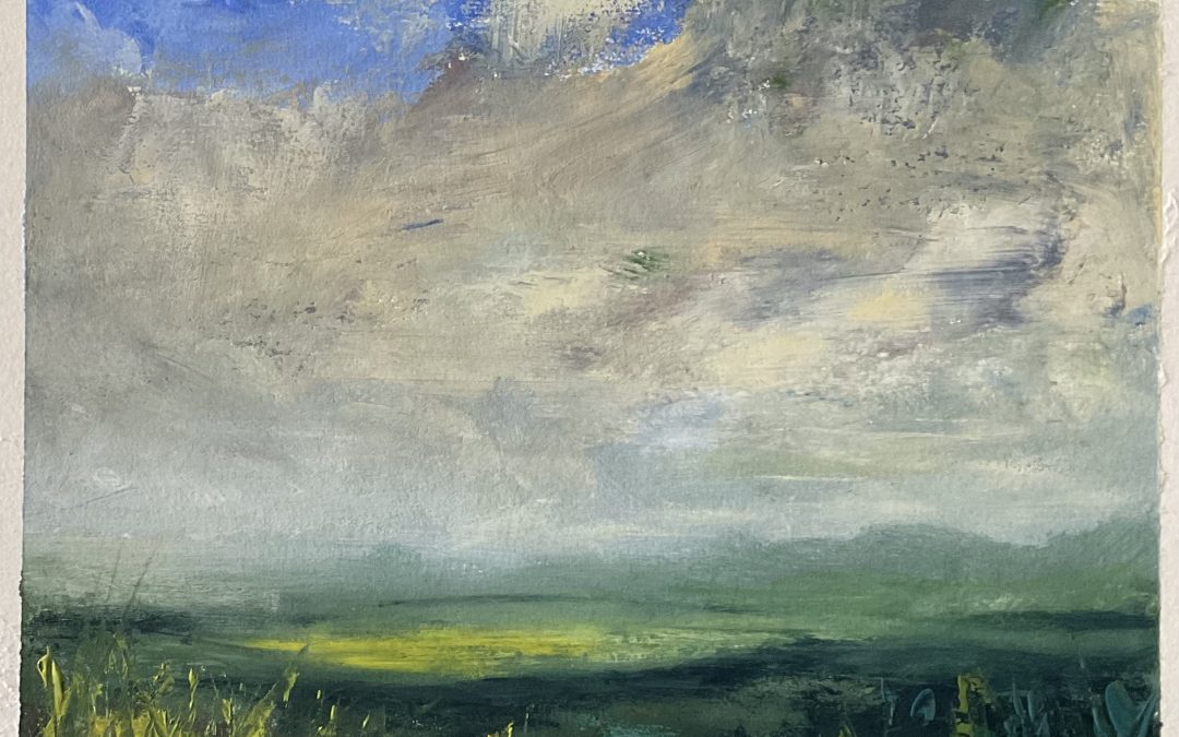 Couldn’t be bothered to wait for the rain, thunder, hail to stop so braved the fields taking gouache paints with me to play with, oh and wellie boots & waterproofs.  I haven’t tried gouache paint outside before, hmmm, they dried rather rapidly despite the dampness of the day…but anyway here’s the resultant sketch of the every-weather-possible day