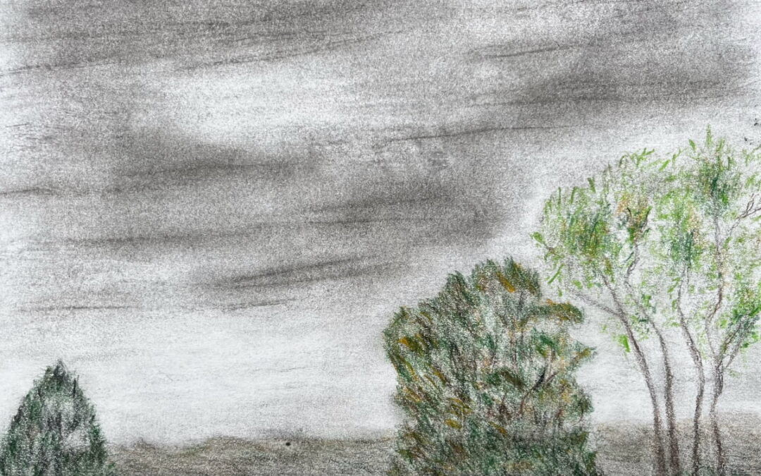 This wasn’t an assignment. I made it from a photo I took through the shade in front of one of our ranchsliders. I liked the effect of how the shade flattened, softened, and greyed things down.

In the photo, the tree on the left was closer to the two on the right. I didn’t quite judge that right in the drawing.

I made the drawing with charcoal and coloured pencil.