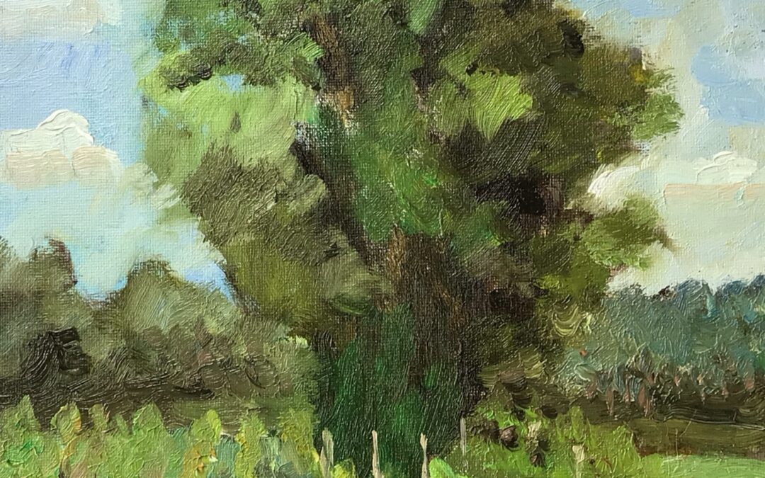 This is a Lime tree I spotted in a vineyard near Box Hill in Surrey.
I love the sheer majesty of trees and forests and spend much of my time painting trees. This is a quick oil study size 12” x 10” showing the tree amongst the vines below. I contemplated adding a figure, for scale, but decided against it, thinking the shapes were interesting enough already. What do you think?