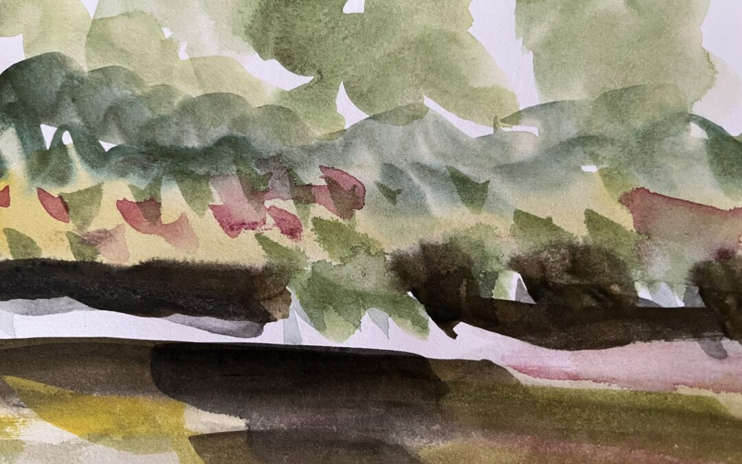 Trying a different approach to my river paintings. Got some wonderful Daniel Smith watercolours. Some very dark unsaturated colours and some highly saturated greens and pinks in July