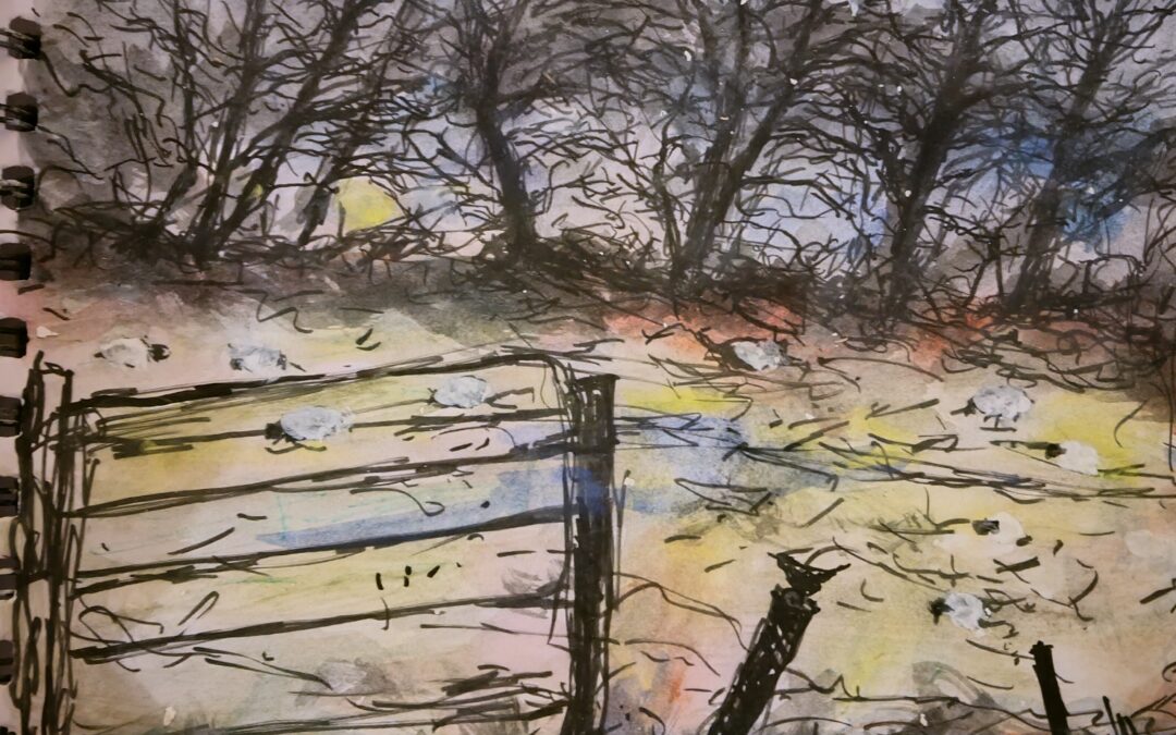 Sketched in a field this evening lovely light appeared after a rather dull day.
First time I used Chinese ink plus watercolour.