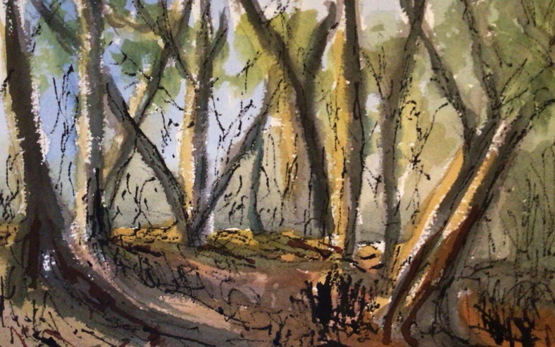 You know how I love trees especially in woodlands and forests.
I created this in watercolour first, then added indian and acrylic inks with hand cut bamboo dip pens in an abstract manner.
This was imagined and memorised from the many hours spent in woodlands last summer, sketching and painting.
I am slowly trying to change my methods of working from plein air start to finish oil paintings, to sketching out doors, and finishing from memory back in the studio.