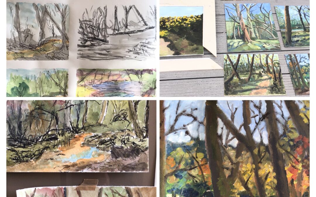 As promised, here are some preliminary sketches made in the New Forest last year. They were all made outdoors in the forest, often quite quickly. Then I returned to the studio in the afternoons and worked up some small oil sketches.
I think this collage gives a flavour of my activity.
Thank you for your feedback.